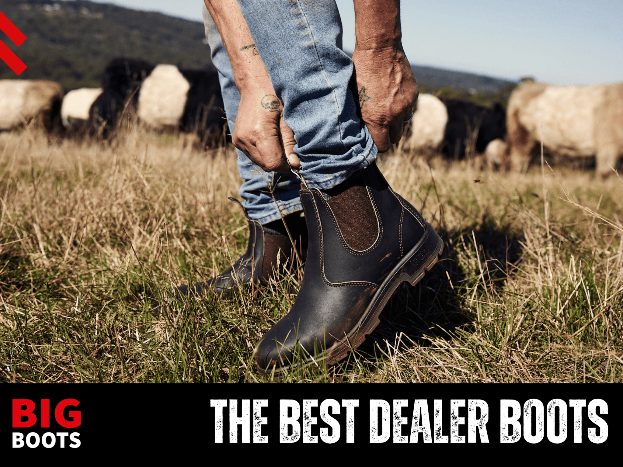 dealer boots for sale